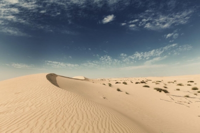 El Sáhara estuvo lleno de agua y vida animal