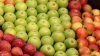 ¿Cuántas variedades de manzanas hay en el mundo?